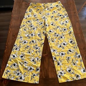Brand New Banana Republic pants.